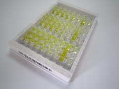 ELISA Kit for Neurotensin (NT)