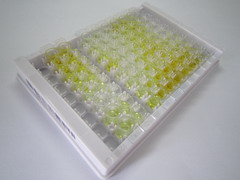 ELISA Kit for Relaxin (RLN)