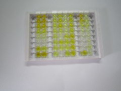 ELISA Kit for Fibrinopeptide A (FPA)