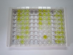 ELISA Kit for Pancreatic Polypeptide (PP)