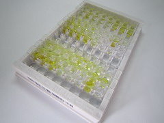 ELISA Kit for Pancreatic Polypeptide (PP)