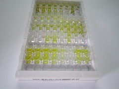 ELISA Kit for Glucagon (GCG)