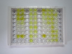 ELISA Kit for Fibrinopeptide B (FPB)