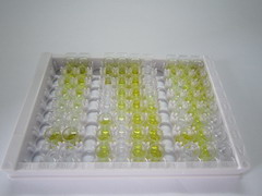 ELISA Kit for Hemoglobin (HB)