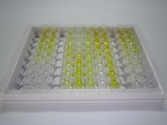 ELISA Kit for Hemoglobin (HB)