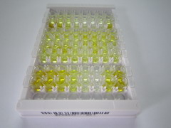 ELISA Kit for Beta-Lipotropic Hormone (bLPH)