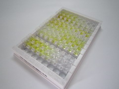 ELISA Kit for Thymic Factor (TF)