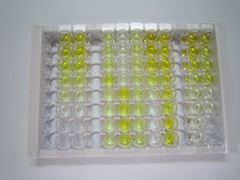 ELISA Kit for Carnosine (Car)