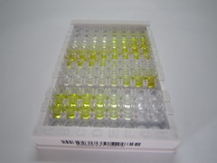 ELISA Kit for Ovalbumin (OVA)