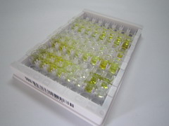 ELISA Kit for Coagulation Factor XIII B Polypeptide (F13B)