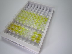 ELISA Kit for Cholesterol (CH)