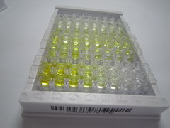 ELISA Kit for Phosphatidylserine (PS)