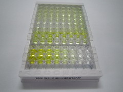 ELISA Kit for Prostaglandin D2 (PGD2)