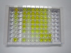 ELISA Kit for Immunoglobulin D (IgD)