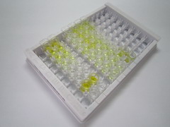 ELISA Kit for Hepcidin (Hepc)