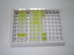 ELISA Kit for Hepcidin (Hepc)