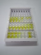 ELISA Kit for Salusin Beta (SALb)