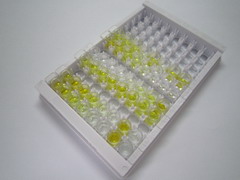 ELISA Kit for Transferrin (TF)