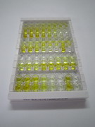 ELISA Kit for Diacylglycerol (DAG)