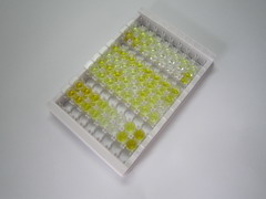 ELISA Kit for Afamin (AFM)