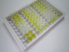 ELISA Kit for Butyrylcholinesterase (BCHE)