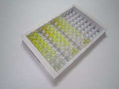 ELISA Kit for Kisspeptin 1 (KISS1)