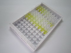 ELISA Kit for Vitamin B1 (VB1)