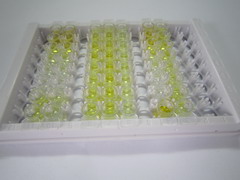 ELISA Kit for Vitamin B2 (VB2)