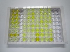 ELISA Kit for Glucagon Like Peptide 2 (GLP2)