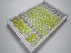 ELISA Kit for Glucagon Like Peptide 2 (GLP2)