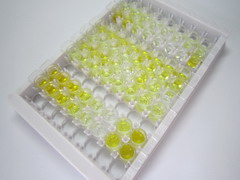 ELISA Kit for Apelin (APLN)