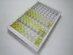 ELISA Kit for Urocortin 3 (UCN3)