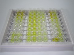 ELISA Kit for Parathymosin (PTMS)