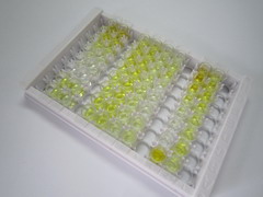 ELISA Kit for Ghrelin/Obestatin Preprohormone (GHRL)