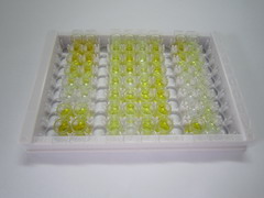 ELISA Kit for Ghrelin/Obestatin Preprohormone (GHRL)