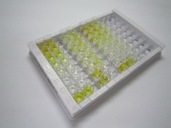 ELISA Kit for 5-Hydroxyeicosatetraenoic Acid (5-HETE)