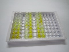 ELISA Kit for Homocysteine (HCy)