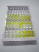 ELISA Kit for Neuropeptide FF (NPFF)