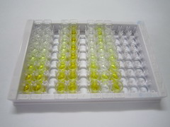 ELISA Kit for Nicotinic Acid Adenine Dinucleotide Phosphate (NAADP)