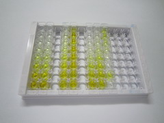 ELISA Kit for Uridine Triphosphate (UTP)