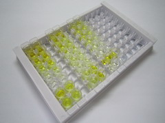 ELISA Kit for Ethinylestradiol (EE)