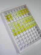 ELISA Kit for Resveratrol (RVT)