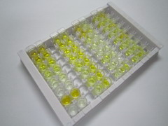 ELISA Kit for Levonorgestrel (LNG)