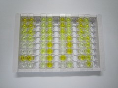 ELISA Kit for Taurocholic Acid (TCA)