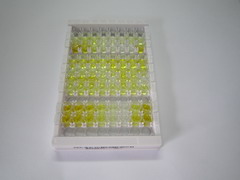 ELISA Kit for Tyrosol (Tyr)