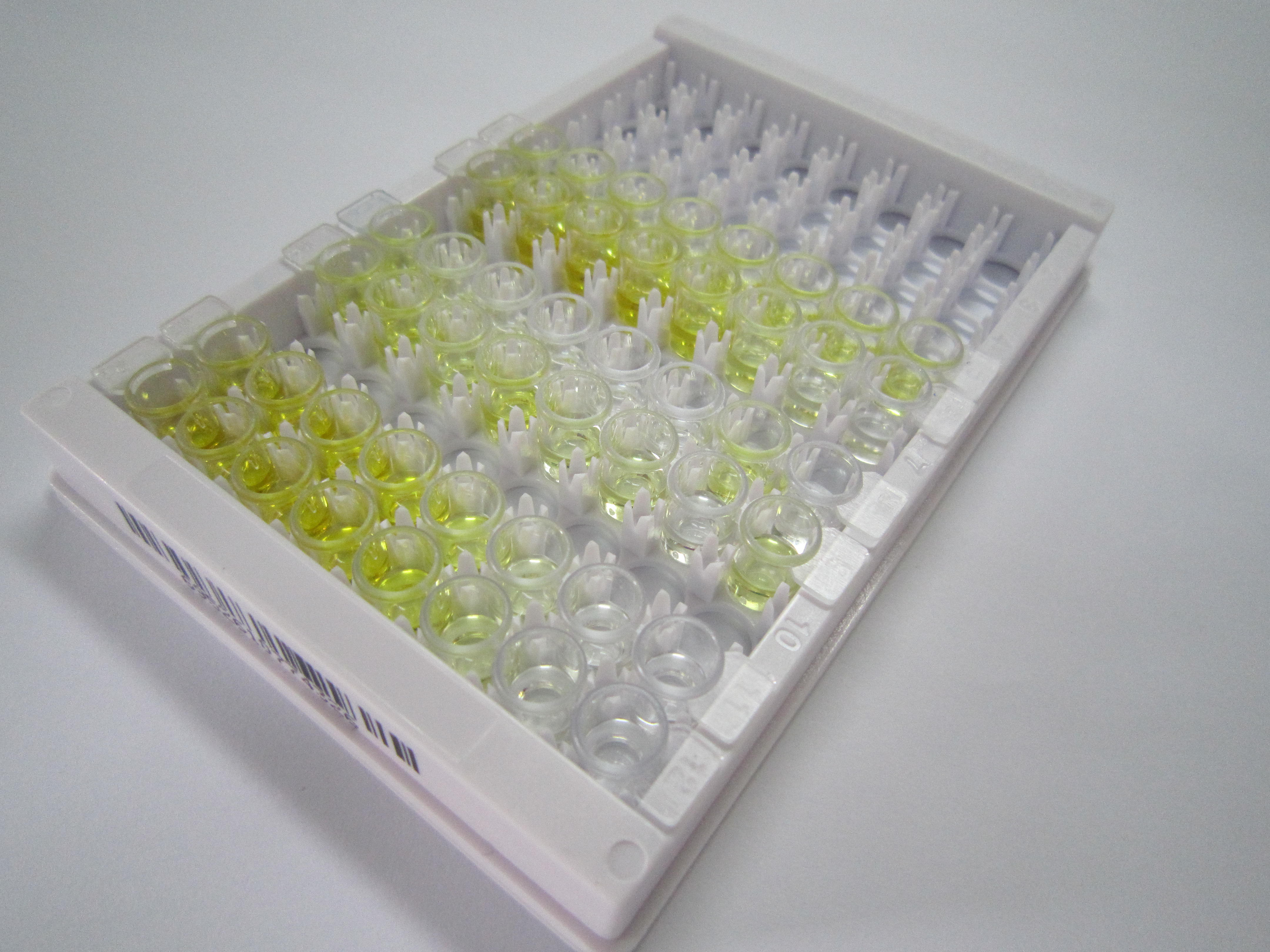 ELISA Kit for Angiotensin 1-7 (Ang1-7)