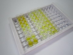 ELISA Kit for Deoxycholate (DC)