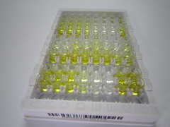 ELISA Kit for Glycine (Gly)