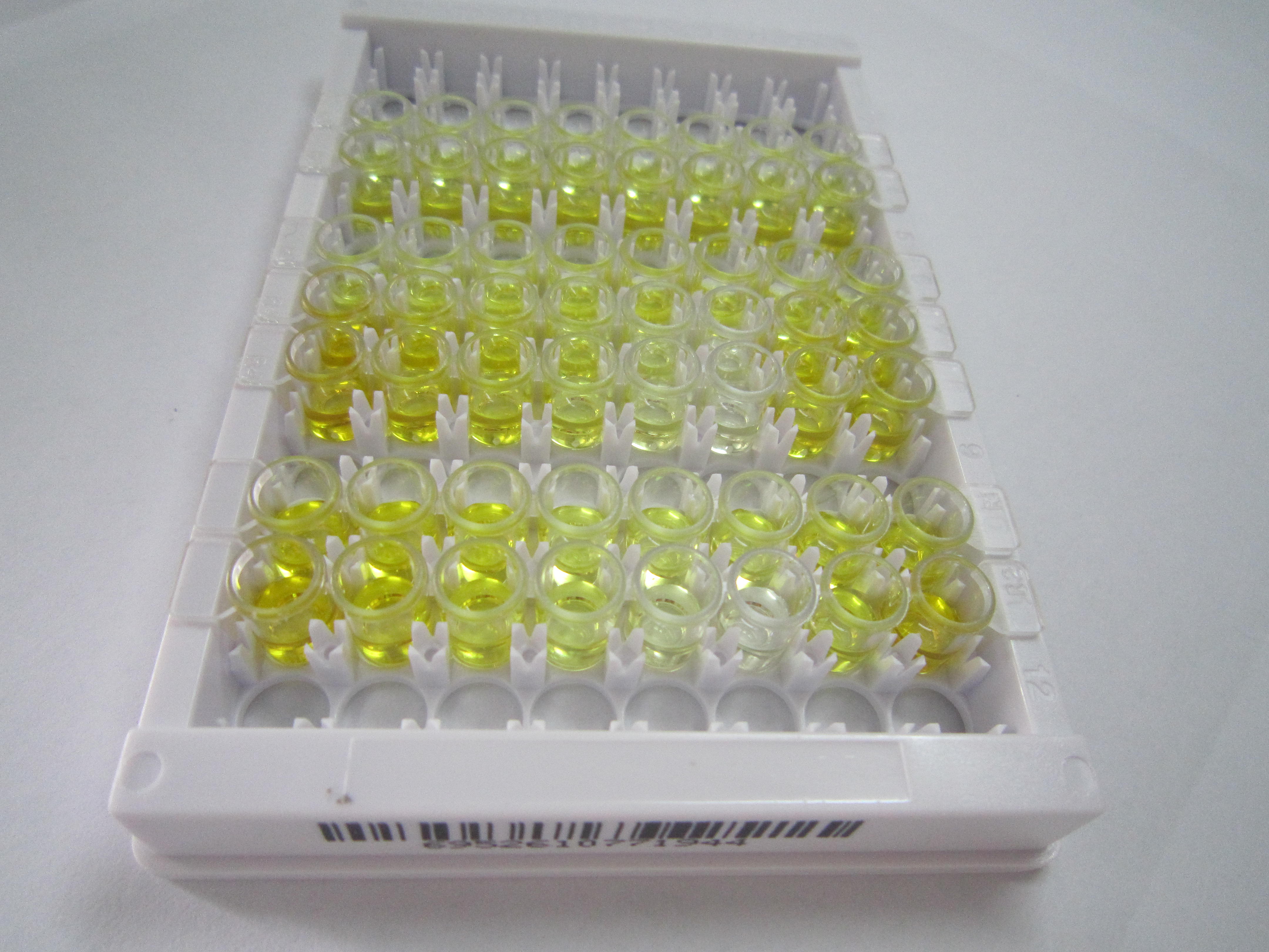 ELISA Kit for Beta-Melanocyte Stimulating Hormone (bMSH)