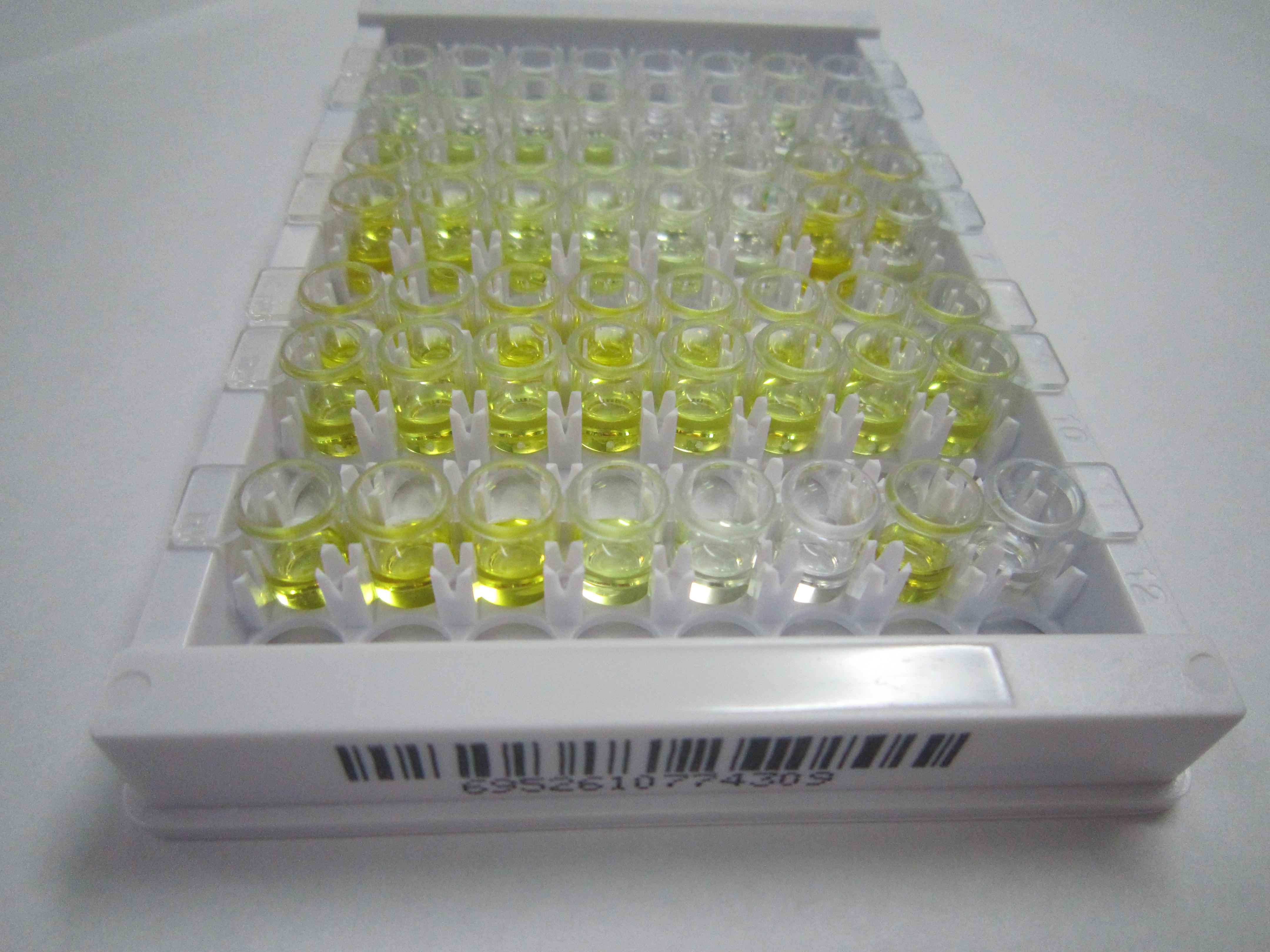 ELISA Kit for Folinic Acid (FA)